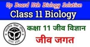 Up Board Class 11 Biology Chapter 1 Hand Written Notes - NCERT Class 11 Biology Chapter 1 in Hindi - कक्षा 11 जीव विज्ञान जीव जगत नोट्स - Part 4